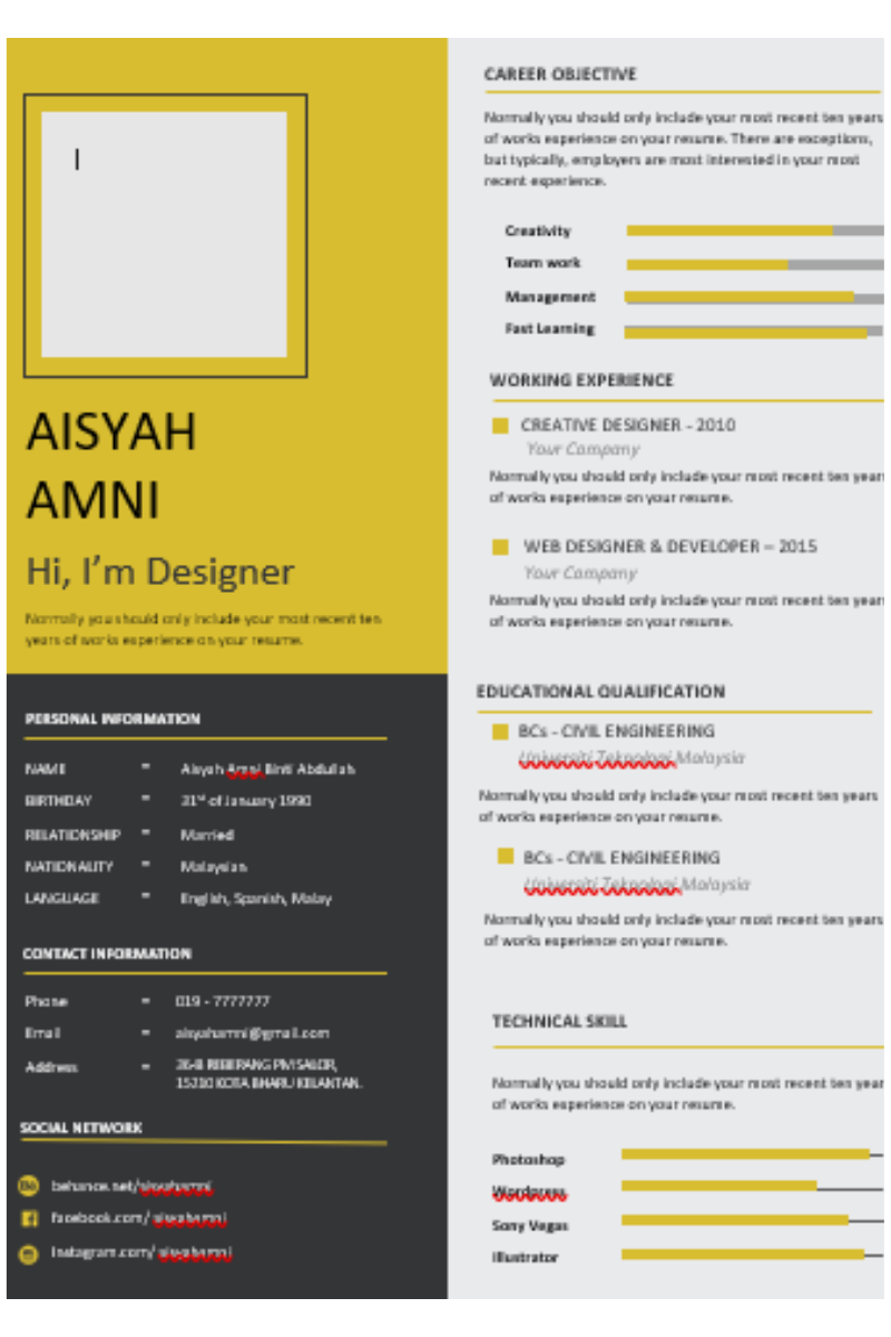 Resume Template 01