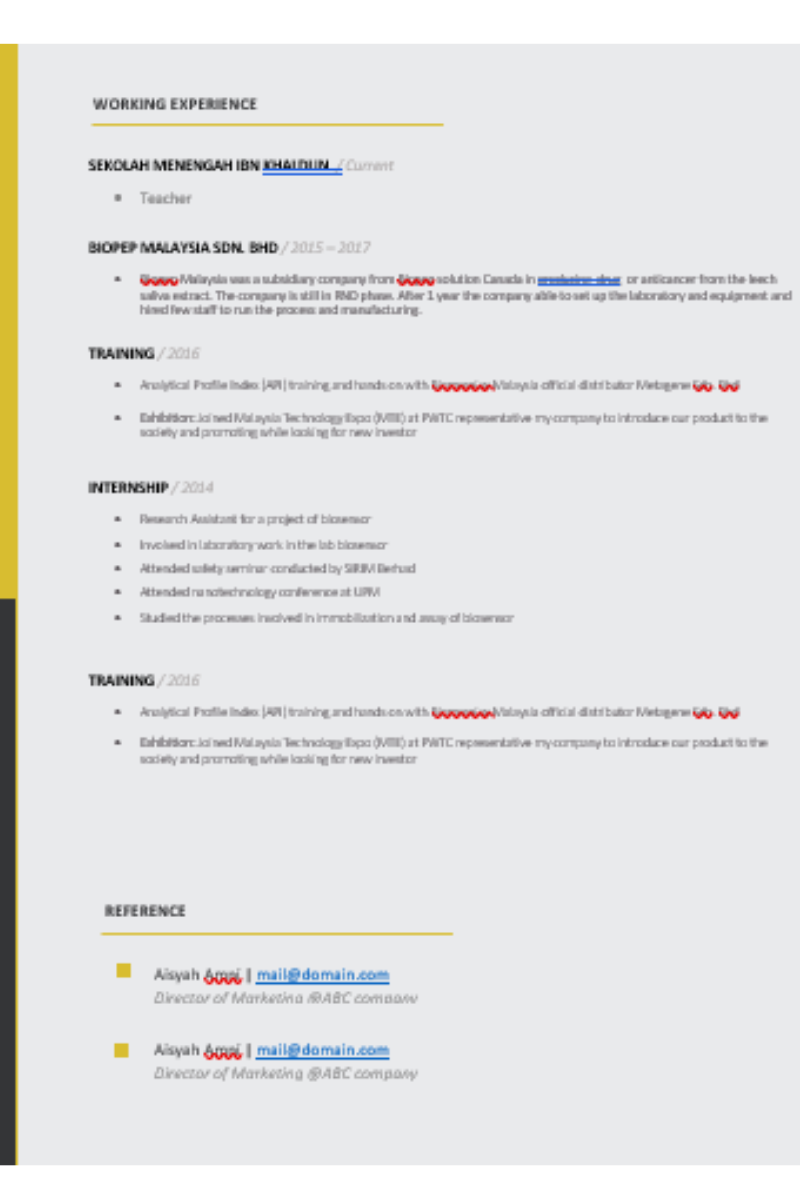 Resume Template 01