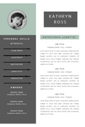 Resume Template 02