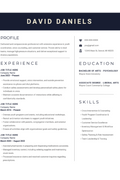 Resume Template 11